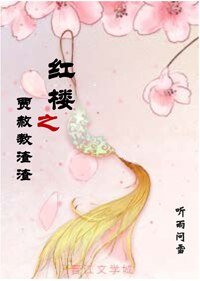 （BL/红楼同人）红楼之贾赦教渣渣