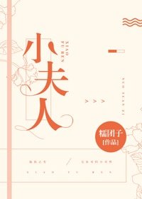 小夫人